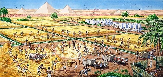 Agricultura en la Civilización Egipcia
