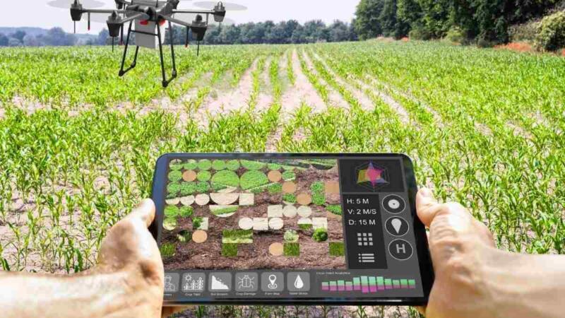 Aplicaciones de la inteligencia artificial en la agricultura