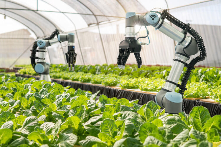 Avances tecnológicos en la agricultura
