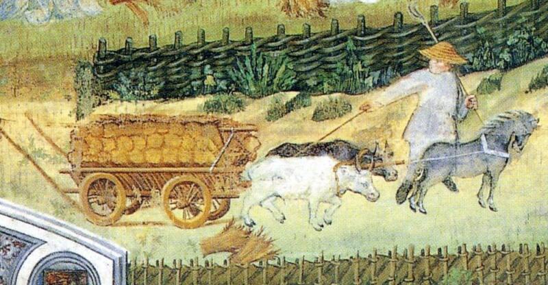 Cambios y avances en la agricultura medieval