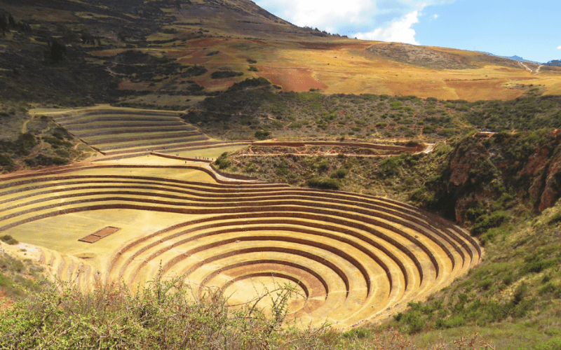 El uso de la diversidad en la agricultura inca