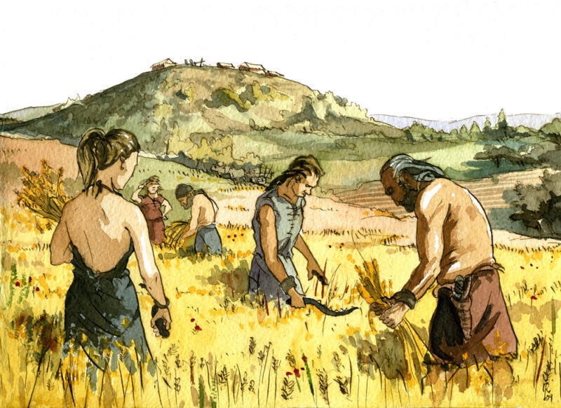 Métodos y Prácticas Agrícolas Grecia