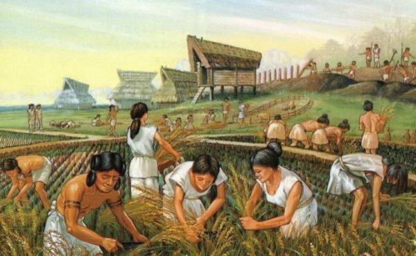 Prácticas agrícolas en la época prehispánica