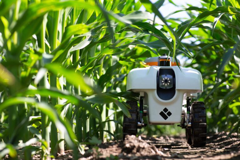 Robots en la Agricultura: Automatización Innovadora